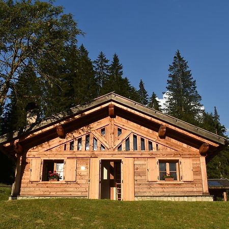 Chalet Brenta Dolomites Мадонна-ді-Кампільйо Екстер'єр фото