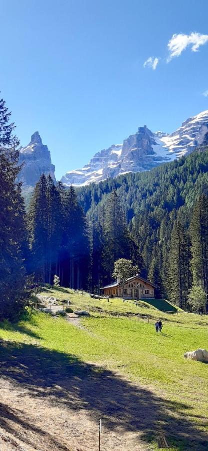 Chalet Brenta Dolomites Мадонна-ді-Кампільйо Екстер'єр фото