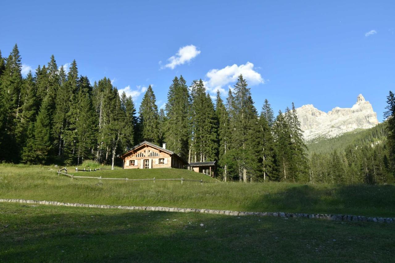 Chalet Brenta Dolomites Мадонна-ді-Кампільйо Екстер'єр фото
