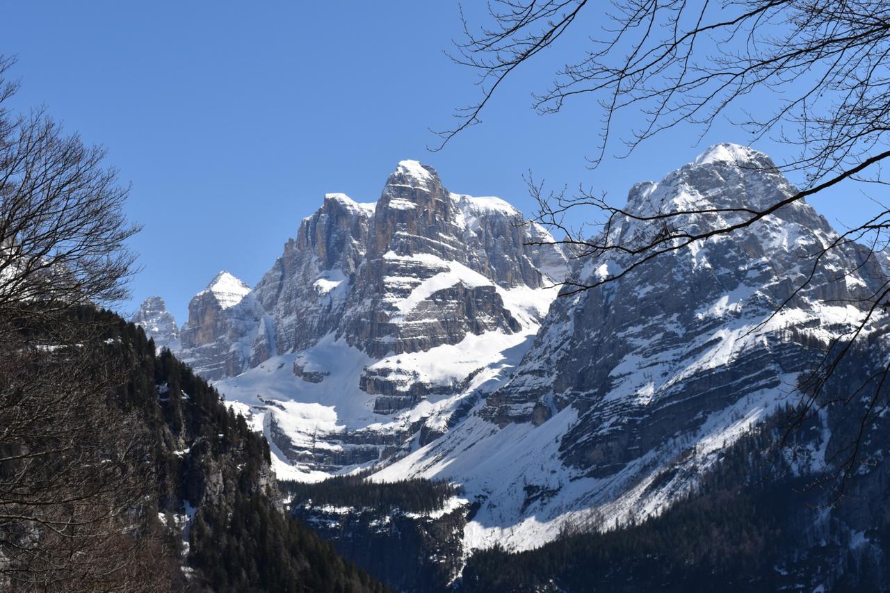 Chalet Brenta Dolomites Мадонна-ді-Кампільйо Екстер'єр фото
