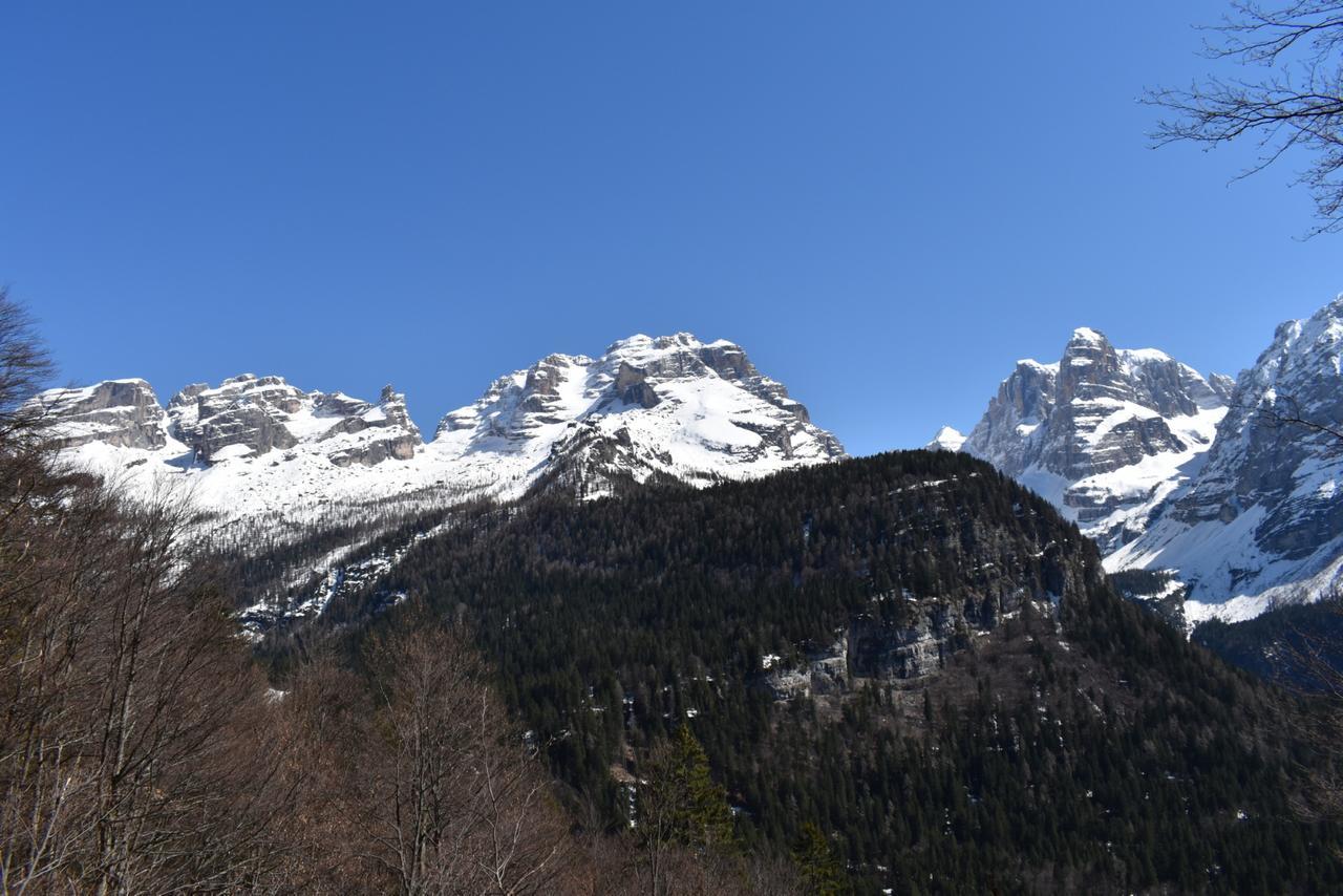 Chalet Brenta Dolomites Мадонна-ді-Кампільйо Екстер'єр фото