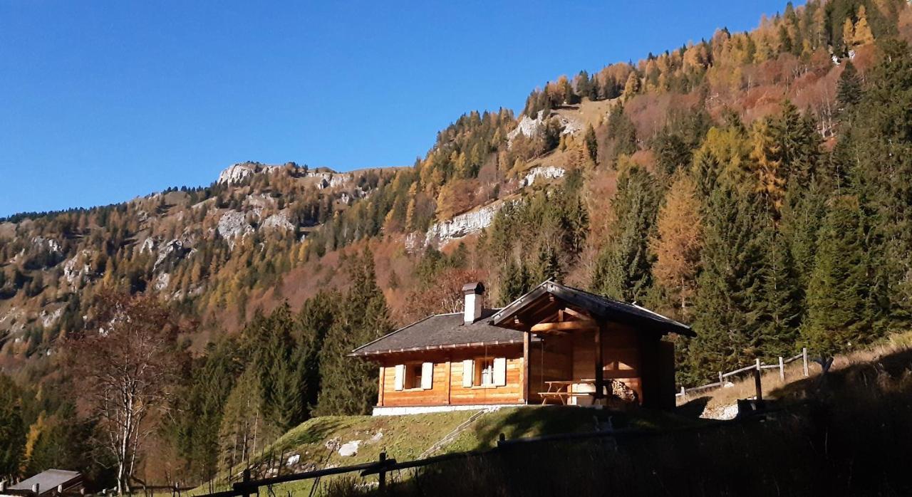 Chalet Brenta Dolomites Мадонна-ді-Кампільйо Екстер'єр фото