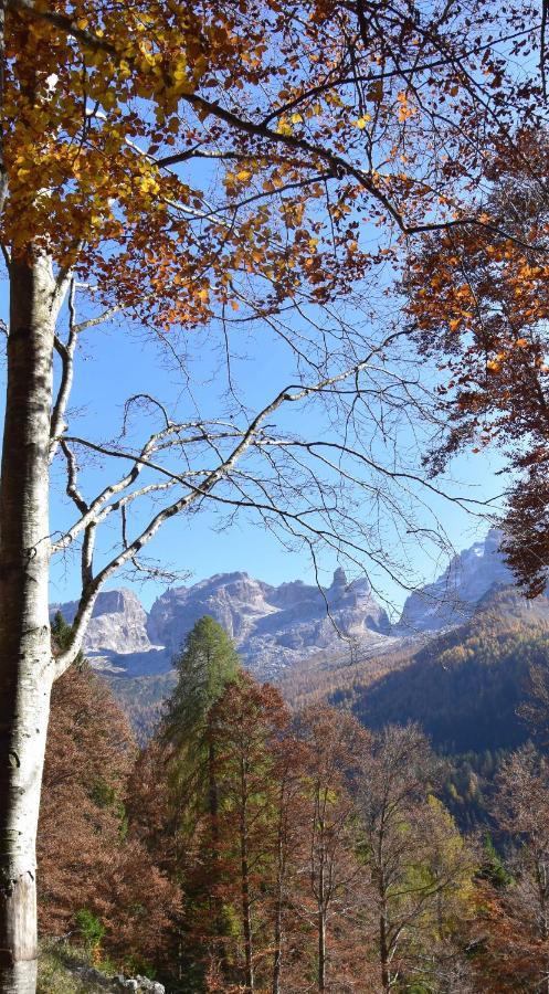 Chalet Brenta Dolomites Мадонна-ді-Кампільйо Екстер'єр фото